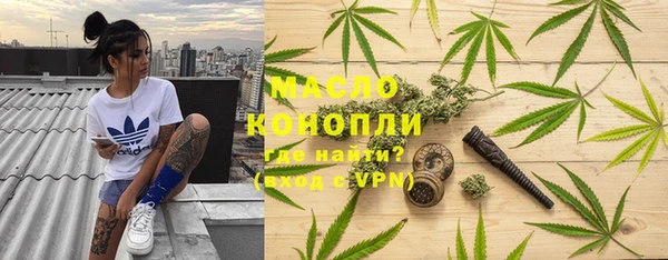 сатива Армянск