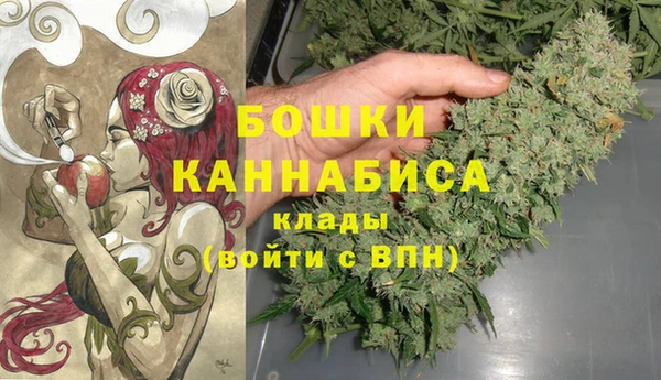 сатива Армянск