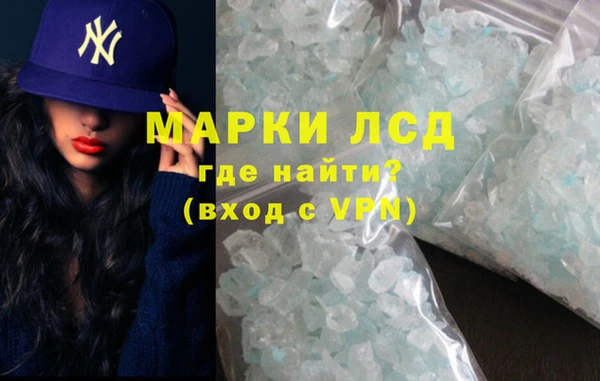 сатива Армянск