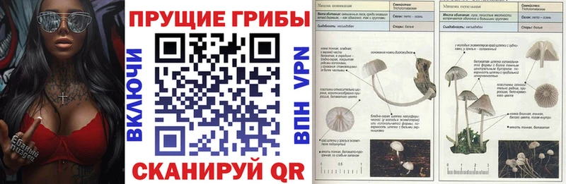 где купить   Межгорье  Псилоцибиновые грибы мухоморы 